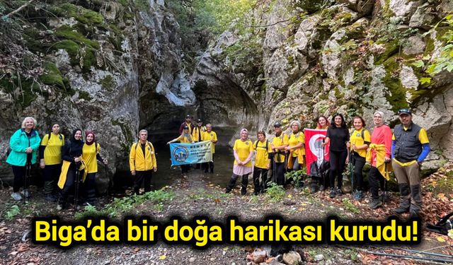 Biga’da bir doğa harikası kurudu!