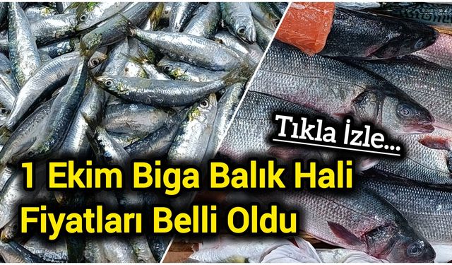 Biga’da tezgâhlar balıkla doldu, fiyatlar netleşti
