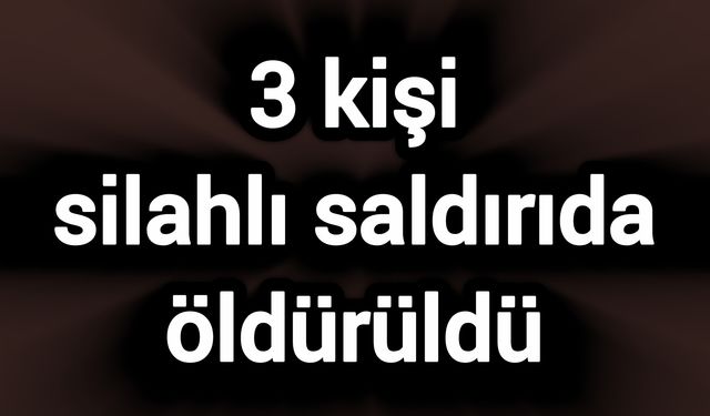 3 kişi silahlı saldırıda öldürüldü