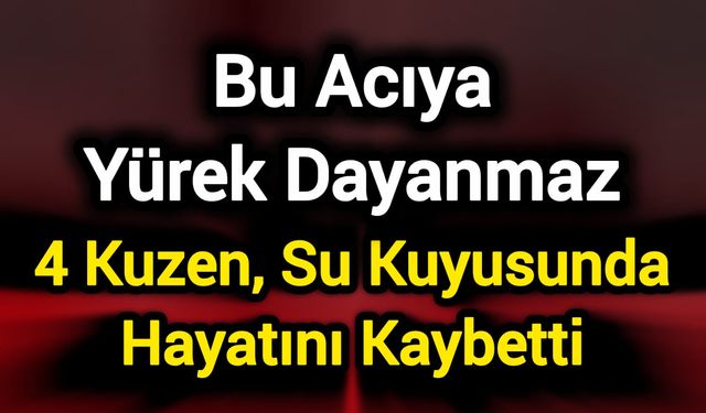 4 Kuzen, Su Kuyusunda Hayatını Kaybetti