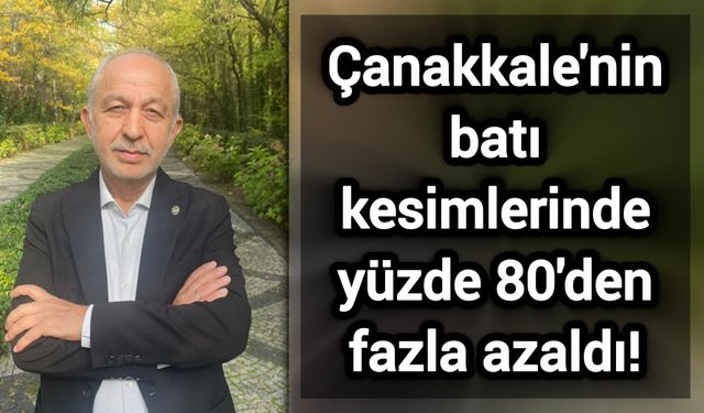 Çanakkale'nin batı kesimlerinde yüzde 80'den fazla azaldı!