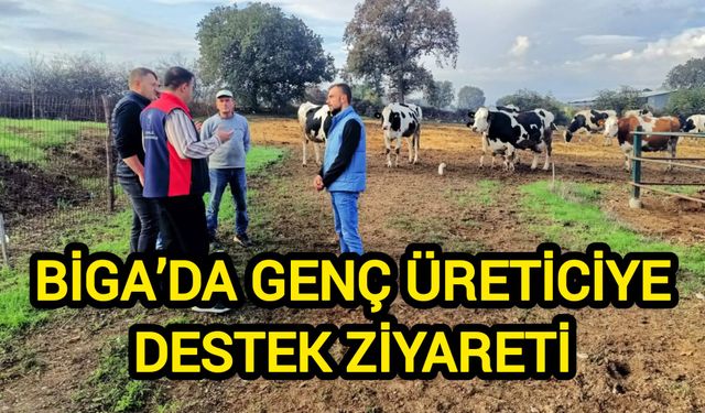 Biga’da ari işletme sayısı artıyor