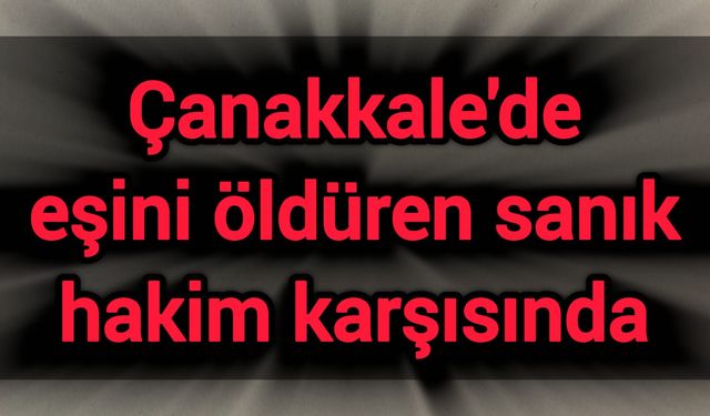 Çanakkale'de eşini öldüren sanık hakim karşısında