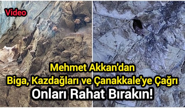Mehmet Akkan'dan Biga, Kazdağları ve Çanakkale'ye Çağrı: Onları Rahat Bırakın!
