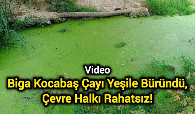 Çanakkale Biga’da Kocabaş Çayı Alarm Veriyor!