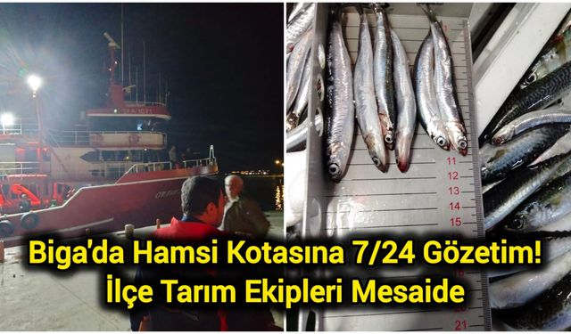 Biga'da Hamsi Kotasına 7/24 Gözetim! İlçe Tarım Ekipleri Mesaide
