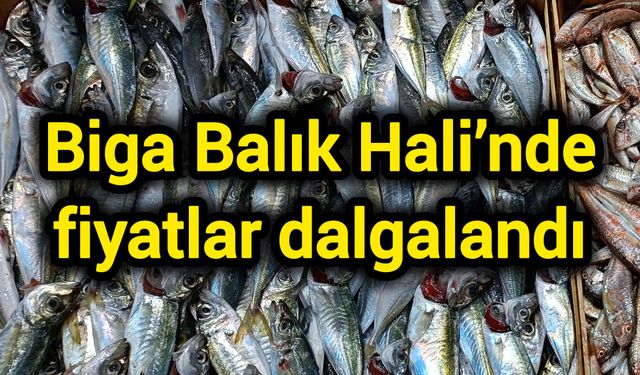 Biga Balık Hali’nde fiyatlar dalgalandı