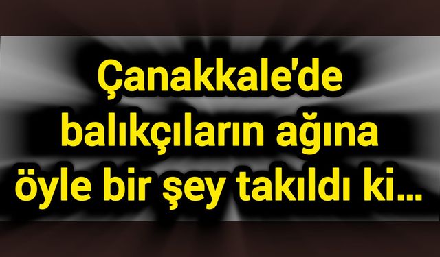 Çanakkale'de balıkçıların ağına öyle bir şey takıldı ki…