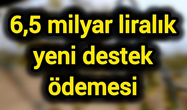 6,5 milyar liralık yeni destek ödemesi