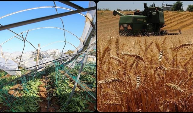 TARSİM 27 milyar lira hasar ödemesi yaptı