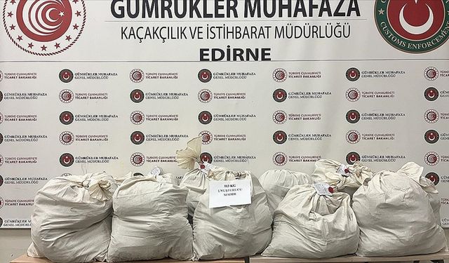 Tır dorsesine gizlenmiş 113 kilo 664 gram esrar ele geçirildi