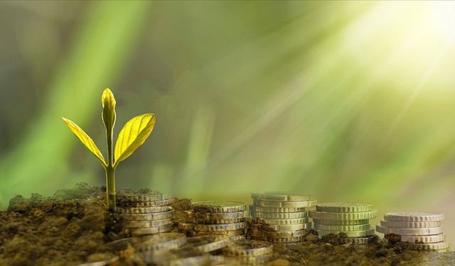 Türkiye'de bankaların iklim hedeflerine yönelik adımları sınırlı kaldı