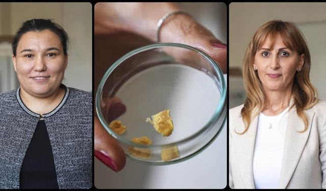 Balık kılçığı yüksek kaliteli kolajene dönüştürüldü