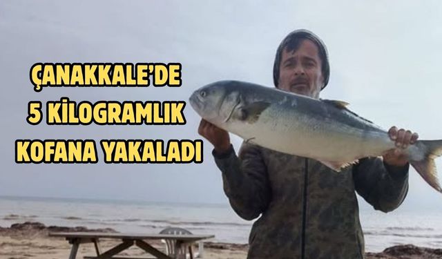 Çanakkale’de 5 kilogramlık kofana yakaladı