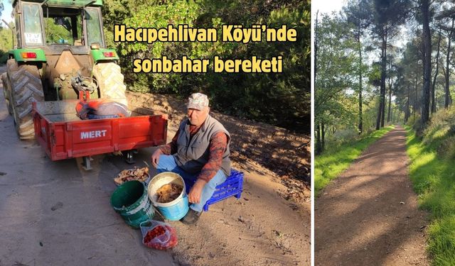 Biga’da toprak sürüldü, süt teslim edildi, mantar toplandı
