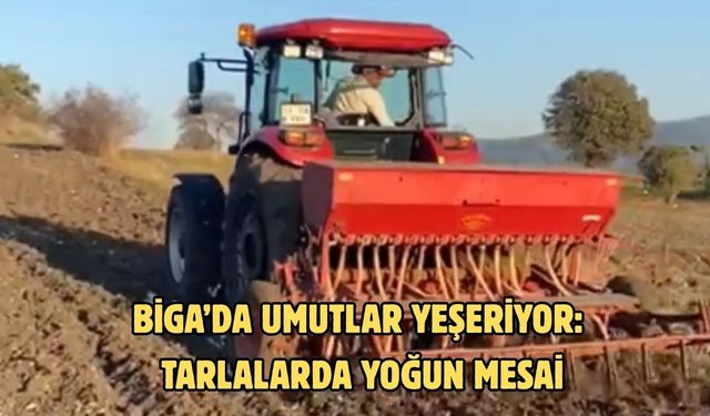 Biga’da umutlar yeşeriyor: Tarlalarda yoğun mesai