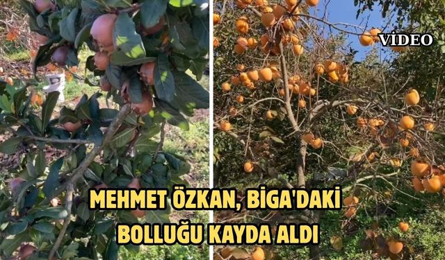 Mehmet Özkan, Biga'daki bolluğu kayda aldı