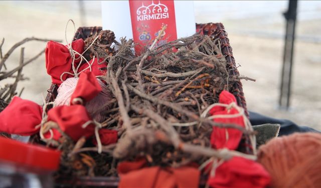 Edirne kırmızısının kullanım alanları genişliyor