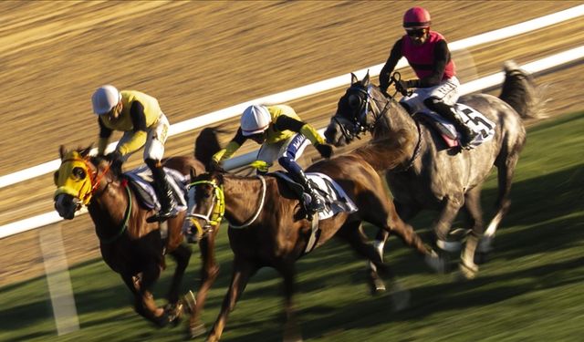 At yarışlarında Cumhuriyet ve Cumhurbaşkanlığı koşuları yapıldı