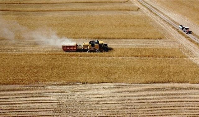 Çiftçilere 1,5 milyar liralık tarımsal destekleme ödemesi yapılacak