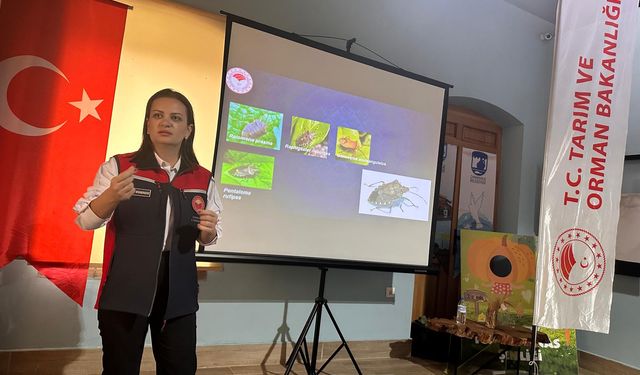 4 bin samuray arısı Biga’da görevde