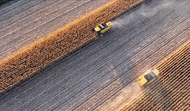 Çiftçinin Maliyeti Eylül'de Yükseldi: Aylık Artış Yüzde 2,16