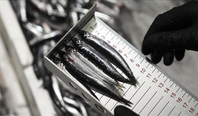 Bu yıl 6 bin 161 su ürünleri denetimi yapıldı