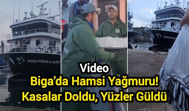 Biga’da Hamsi Yağmuru! Kasalar Doldu, Yüzler Güldü