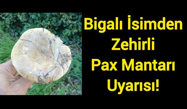 Bigalı İsimden Zehirli Pax Mantarı Uyarısı!