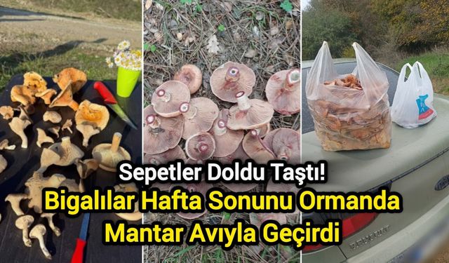 Sepetler Doldu Taştı! Bigalılar Hafta Sonunu Ormanda Mantar Avıyla Geçirdi