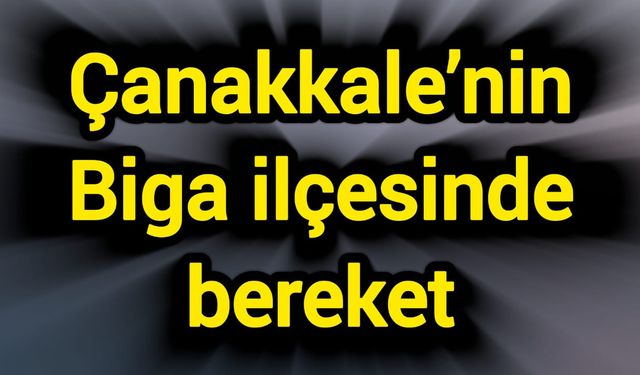 Çanakkale’nin Biga ilçesinde bereket