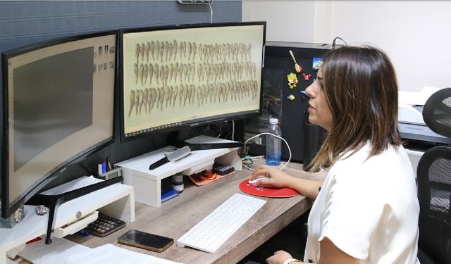 Akademisyenler bazı balık türlerinde mikroplastikleri araştırdı