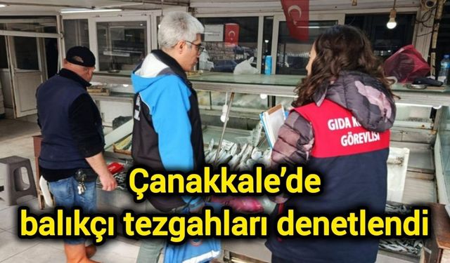 Çanakkale’de balıkçı tezgahları denetlendi