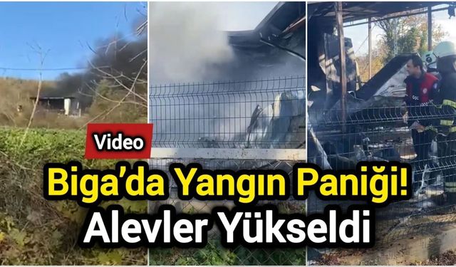 Biga’da Yangın Paniği! Alevler Yükseldi