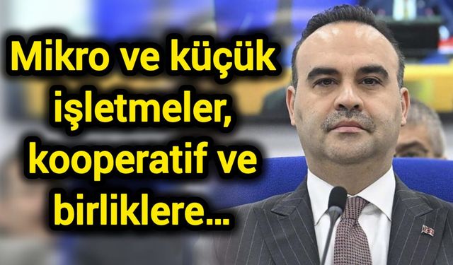 Mikro ve küçük işletmeler, kooperatif ve birliklere…