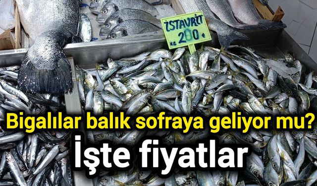 Bigalılar balık sofraya geliyor mu? İşte fiyatlar