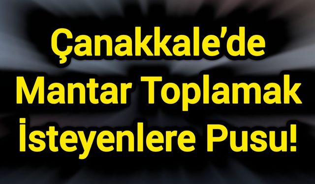 Çanakkale’de Mantar Toplamak İsteyenlere Pusu!