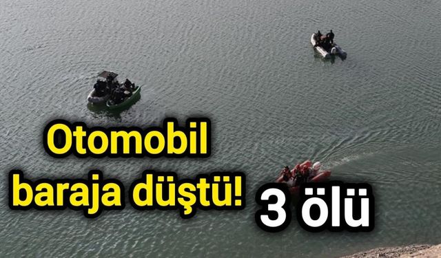 Otomobil baraja düştü! 3 ölü