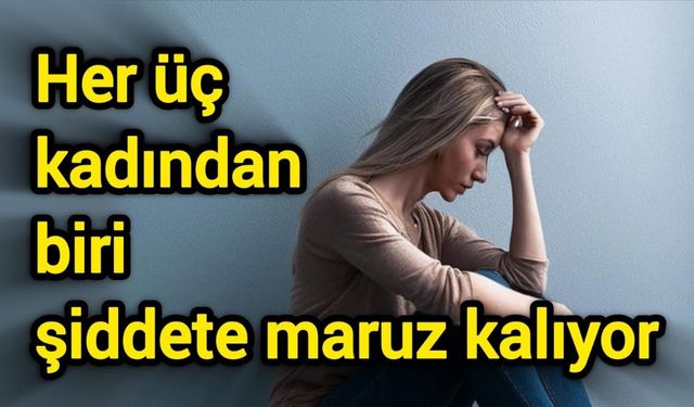 Her üç kadından biri şiddete maruz kalıyor
