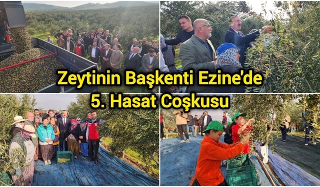 Zeytinin Başkenti Ezine'de 5. Hasat Coşkusu