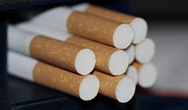 Tütün 7 milyon insanı hayattan koparıyor