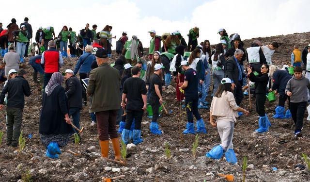 Çanakkale'de 14 Ayrı Noktada 20 Bin Fidan Toprakla Buluştu