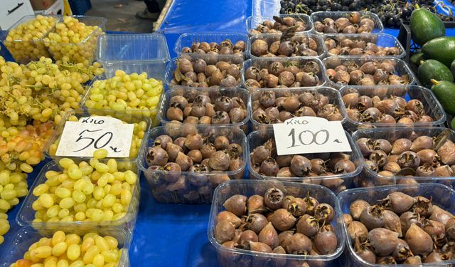 Biga'nın Unutulmaya Yüz Tutan Lezzeti Pazara İndi