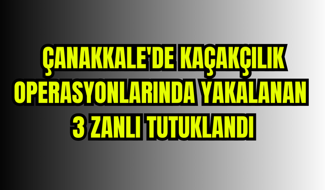 Çanakkale'de kaçakçılık operasyonlarında yakalanan 3 zanlı tutuklandı