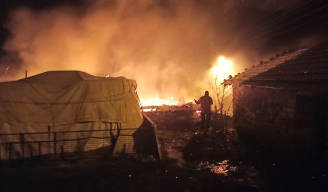 Ev Yangınında 1 Kişi Yaralandı