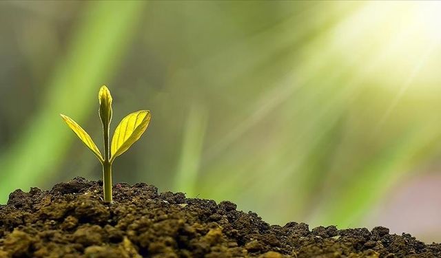 Yerel yönetimlere yaklaşık 96 milyar liralık çevre desteği