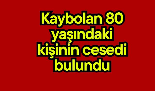 Kaybolan 80 yaşındaki kişinin cansız bedeni bulundu