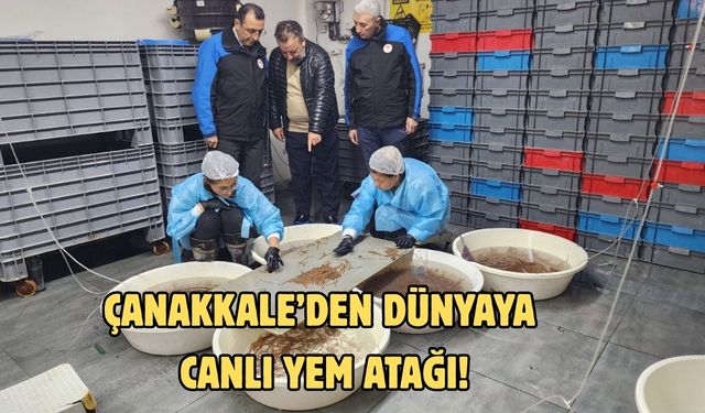 Çanakkale’den dünyaya canlı yem atağı!