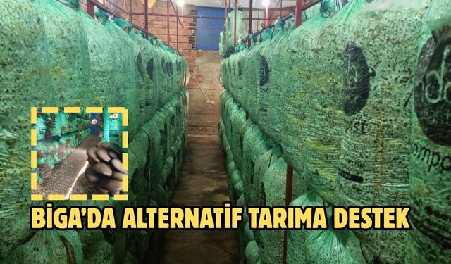 Biga’da alternatif tarıma destek