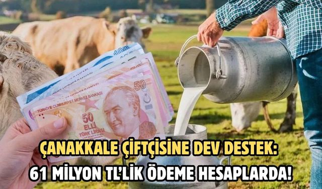 Çanakkale çiftçisine dev destek: 61 milyon TL’lik ödeme hesaplarda!